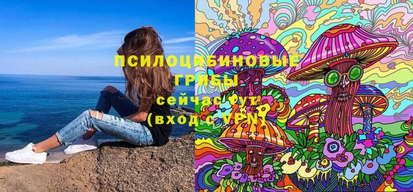 спиды Горняк
