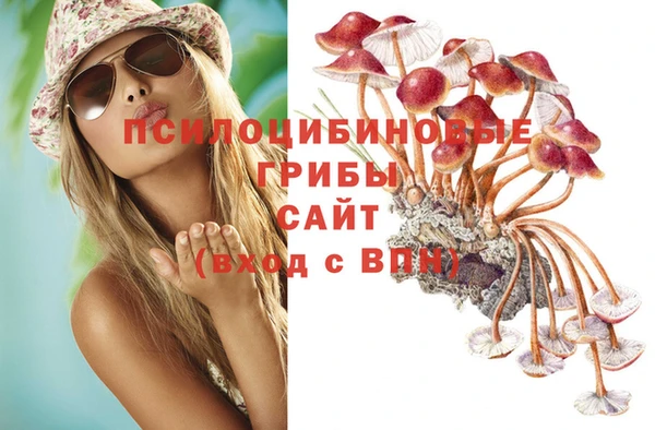 сатива Пролетарск