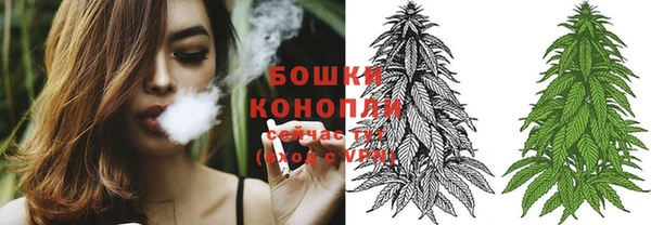 эйфоретик Гусиноозёрск