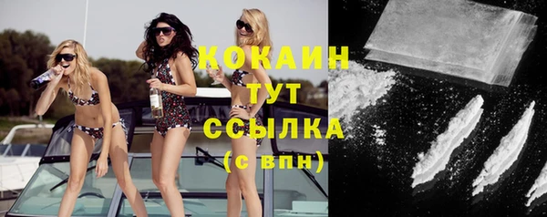 спиды Горняк