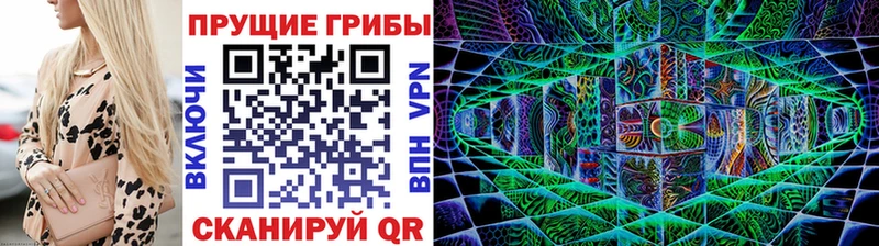 Купить  Конаково  Псилоцибиновые грибы Magic Shrooms 